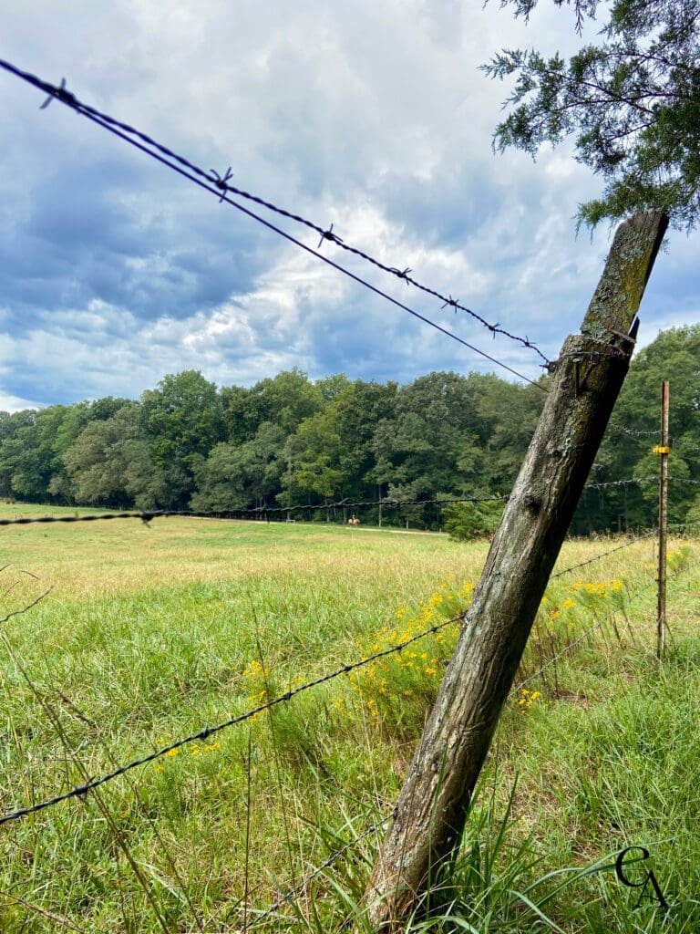 An old fence post covered in lichens and moss, with a barbed wire fence and a field in the background during late summer in September.