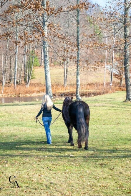 A blonde woman walking a horse next to a pond.