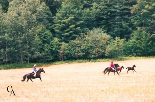 Two horseback riders in a field.