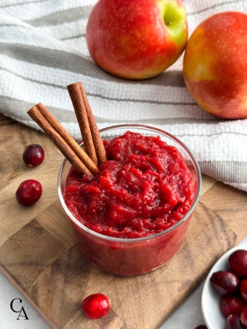 A bowl of applesauce fruit dip with cinnamon and cranberries.